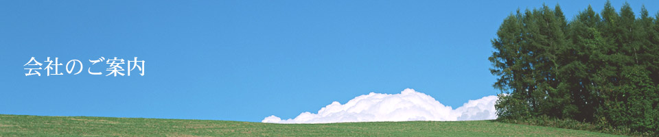 会社のご案内