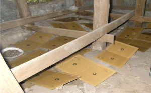 除却工事に伴うネズミ・害虫調査