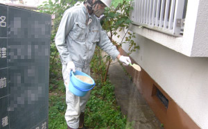 ムカデ・ヤスデ等不快害虫駆除