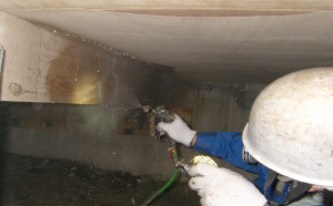 シロアリ被害調査駆除