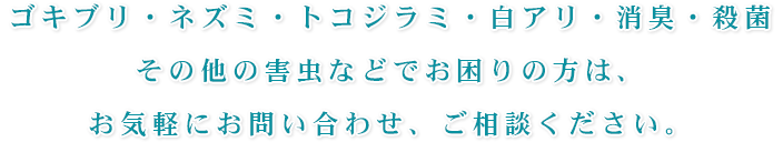 ゴキブリ・ネズミ・トコジラミ・白アリ・消臭・殺菌その他の害虫などでお困りの方は、お気軽にお問い合わせ、ご相談ください。